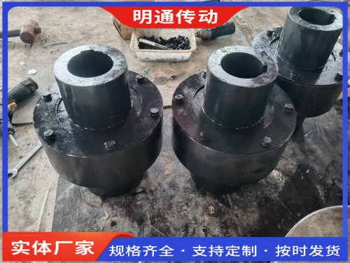 弹性柱销联轴器BL6